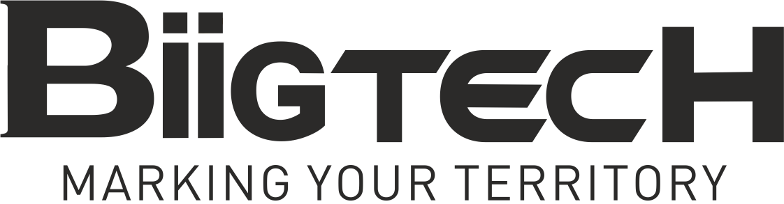 Biigtech Logo